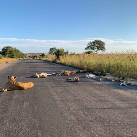 Meet your Posher, HP! - Picture 4 of 4